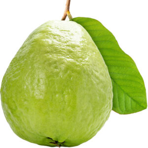 Guava