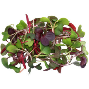 Mix Micro Herbs