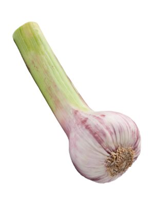 Garlic Fresh 5kg