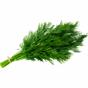 Dill 20x150g
