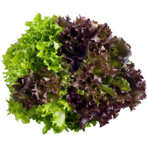 Lettuce Mixed x10
