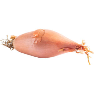 Onion Shallots (Banana)
