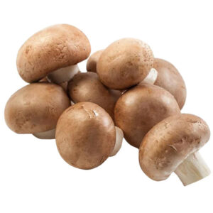 Mushroom Chestnut