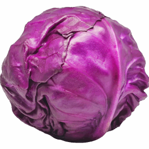 Cabbage Red Large 25kg