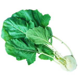 Kohlrabi x20