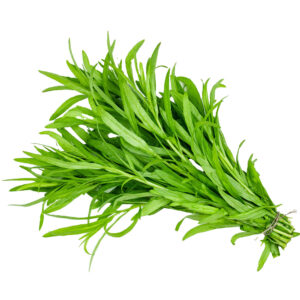 Tarragon {Pre-Pack}
