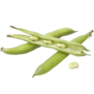Beans Broad