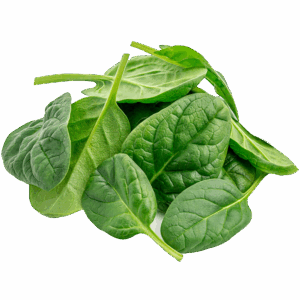 Spinach Pre-Pack 10x200g