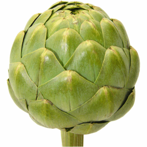 Artichokes