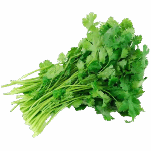 Coriander 20x150g