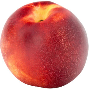 Nectarine-