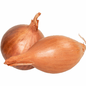 Onion Shallots (Round)
