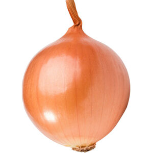 Onion Net 24kg
