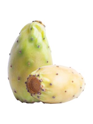 Pear Prickly