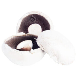 Mushroom Flat