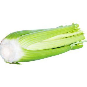 Celery Short