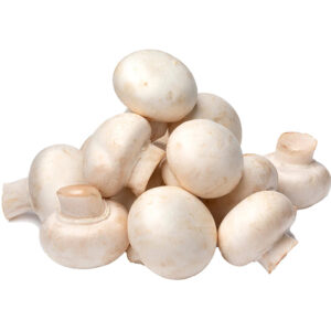Mushroom Pre-Pack x12