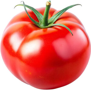 Tomato Vine 5kg