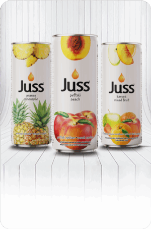 Juss Nectar & Mixed Fruit - Juss 250 ml