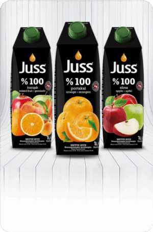 Juss %100 - Juss 1L Tetrapak %100