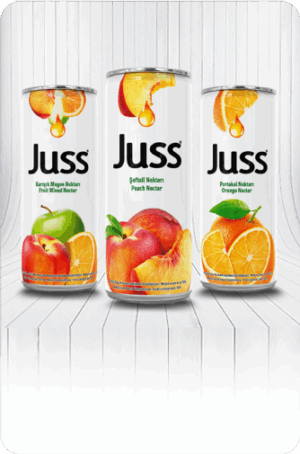 Juss Nectar & Mixed Fruit - Juss 330 ml